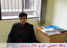 چگونگی صدور بیمه نامه و روادید برای زائرین اربعین حسینی