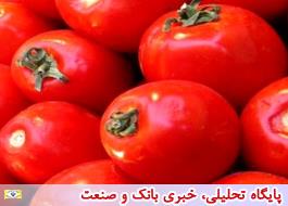 عراقی‌ها با به‌ کار گرفتن دلالان بومی در قزوین، اقدام به خرید و صادرات گوجه‌‌فرنگی می‌کنند