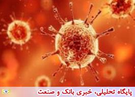 ایران، بهشت ویروس های خارجی