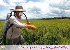 سازمان حفظ نباتات مانع صادرات سموم شیمیایی| ابتکار صادرکنندگان ایرانی به ثبت برندینگ در کشورهای هدف
