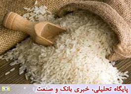 واردات 1.3 میلیارد دلاری برنج پرحاشیه
