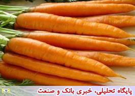 هویج آمریکایی، تولید ایران است