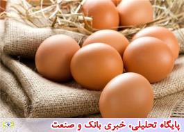 قیمت هر شانه تخم مرغ حداکثر 12500 تومان است