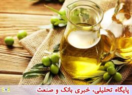 واردات زیتون کنسروی ضرورتی ندارد/ سرانه مصرف روغن زیتون در ایران نصف متوسط جهانی