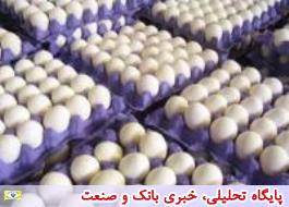 60 تن تخم مرغ وارد کشور شد