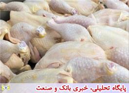 افزایش عرضه، قیمت مرغ را کاهش داد