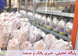 افزایش قیمت مرغ در بازار خرده فروشی