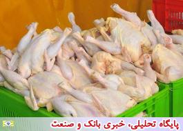 قیمت مرغ در بازار امروز  10 هزار و 800 تومان