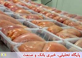 لغو ممنوعیت صادرات مرغ