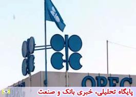 خروج عربستان از اوپک با سناریویی آمریکایی/چرا عربستان می خواهد از سازمان تولیدکنندگان نفت خارج شود