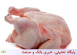 کاهش قیمت مرغ آماده طبخ