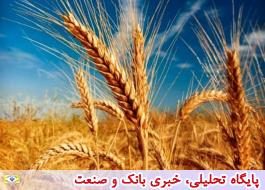 دست دÙÙØª در Ø¬ÛØ¨ خاÙÛ Ú©Ø´Ø§ÙØ±Ø²Ø§Ù Ø¨Ø±Ø§Û Ù¾Ø±Ø¯Ø§Ø®Øª ÛØ§Ø±Ø§ÙÙ ÙØ§Ù / Ø¢ÛØ§ در ÙÛÙ
ت Ø®Ø±ÛØ¯ تضÙ
ÛÙÛ Ú¯ÙØ¯Ù
ØªØ¬Ø¯ÛØ¯ ÙØ¸Ø± Ù
ÛâØ´ÙØ¯Ø