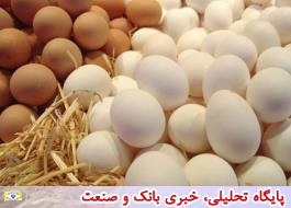 واردات تخم مرغ در هشت ماه امسال 2 برابر افزایش یافت