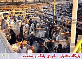 بازگشت Ú©Ø§ÙØ§ÙØ§Û Ø§ØØªÚ©Ø§Ø±Û Ø¨Ù ÚØ±Ø®Ù بازار