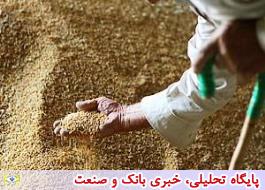 قول مساعد وزارت جهاد کشاورزی برای افزایش قیمت خرید تضمینی گندم