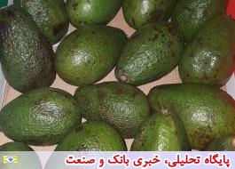 جمع آوری میوه‌های قاچاق از میدان مرکزی میوه تهران