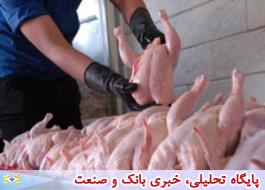 افزایش قیمت گوشت مرغ در آستانه عید