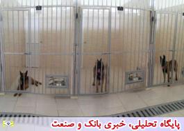 اهدای 8 قلاده سگ مواد یاب به گمرک ایران پس از کسب رتبه اول مبارزه با قاچاق در دنیا