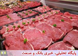 واردات، ذخیره‌سازی و توزیع گوشت گوسفندی وارداتی با میانگین روزانه 120 تن در راستای تنظیم بازار گوشت قرمز