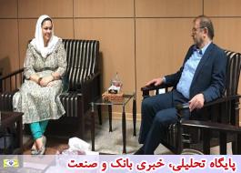 در دیدار با نماینده WIPO مطرح شد/ تحریم هنر و فرش ایرانی توهین به نهادهای بین المللی است