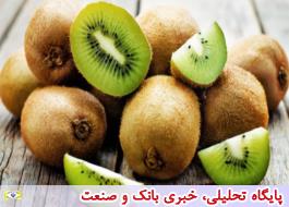 ابلاغ ممنوعیت صادرات کیوی از 31 شهرور تا 15 مهر ماه به گمرک