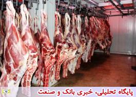 فروش گوشت گوسفند و گوساله به یک سوم قیمت در میادین