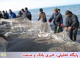 صید ماهیان استخوانی دریای خزر 15 مهر آغاز می شود