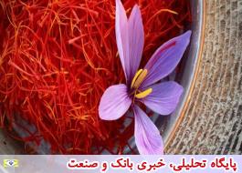 سهم ایران از تجارت جهانی زعفران کمتر از 10 درصد است