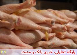 65 هزار تن گوشت مرغ در گلستان ذخیره شد