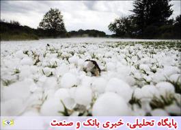 توصیه‌های هواشناسی کشاورزی تا 28 بهمن ماه به تفکیک استان