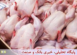 بهای گوشت مرغ در بازار تهران