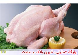 توزیع گسترده گوشت مرغ تنظیم بازاری با قیمت 11.500 تومان