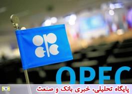 قیمت سبد نفتی اوپک بیش از یک دلار افزایش یافت