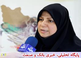 40 هزار زن خانه دار در استان تهران تحت پوشش تامین اجتماعی هستند