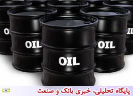 قیمت نفت سه درصد افت کرد
