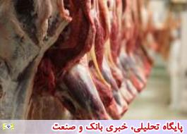 گوشت مورد نیاز صنف پزندگان استان تهران تامین شد