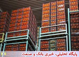 گمرک ممنوعیت صادرات سیب و پرتقال را تا اطلاع ثانوی تمدید کرد