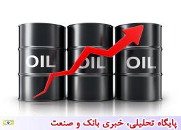 قیمت نفت باز هم افزایش یافت