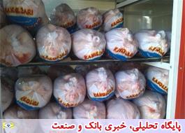 قیمت مرغ آماده به طبخ در خرده فروشی‌ها 15 هزار و 500 تومان است