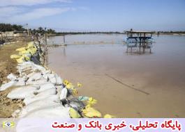خسارت سنگین سیل به شیلات خوزستان و لرستان