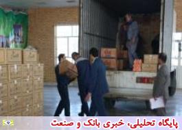 135 کامیون دارو به مناطق سیل زده ارسال شد/ ارسال 999 تن کالا به استان های سیل زده