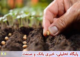 بذر مورد نیاز کشاورزان سیلزده تامین شد