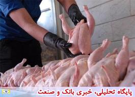قیمت واقعی هر کیلو مرغ زنده 14 هزار تومان