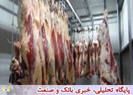 تولید گوشت قرمز در کشتارگاه‌های رسمی کشور به 81,5 هزارتن رسید