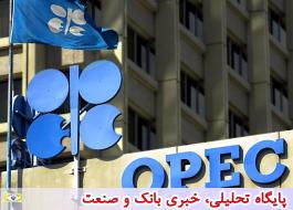 بازتاب پیش بینی وزیر نفت ایران در خصوص فروپاشی اوپک