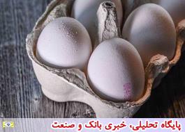 با لغو ممنوعیت صادرات تخم مرغ قیمت این محصول در بازار کاهشی شد