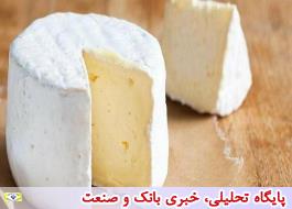 قیمت انواع پنیر در میادین میوه و تره بار اعلام شد