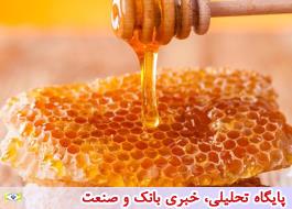 صادرات سالانه عسل هزار و 759 تن است