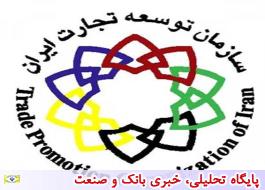 نهادگرایی؛ رویکرد نوین سازمان توسعه تجارت ایران برای همکاری با بخش خصوصی