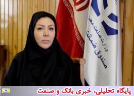 4 حوزه کاری صندوق ضمانت صادرات ایران برای تحقق رونق تولید